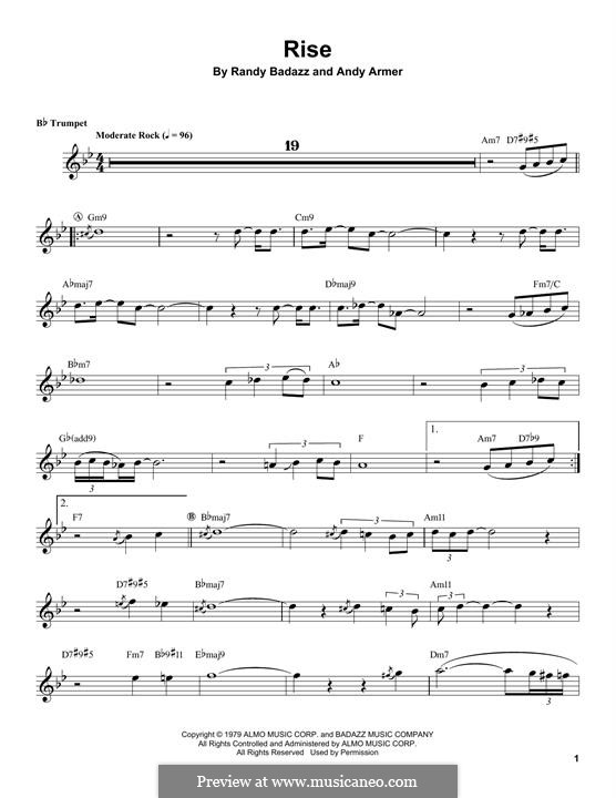 Rise (Herb Alpert) por A. Armer, R. Badazz Partituras on músicaNeo
