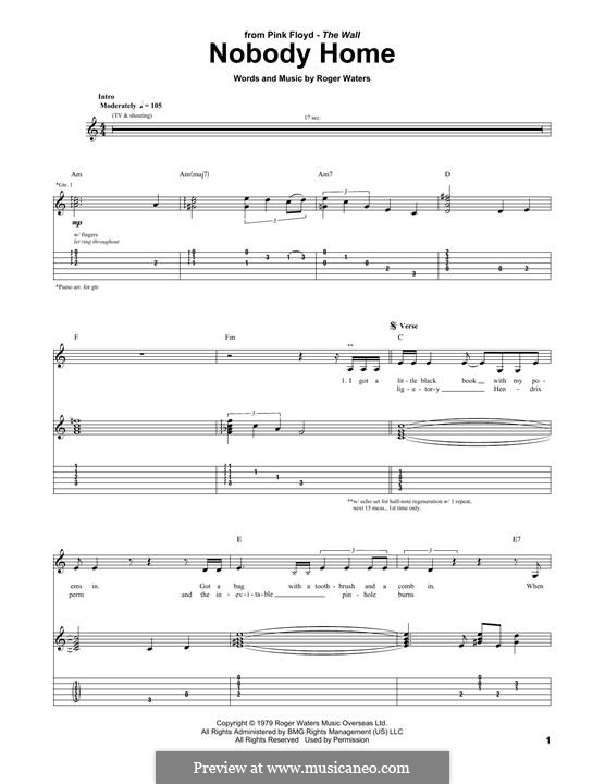 R. Waters Nobody Home (Pink Floyd) ноты на MusicaNeo