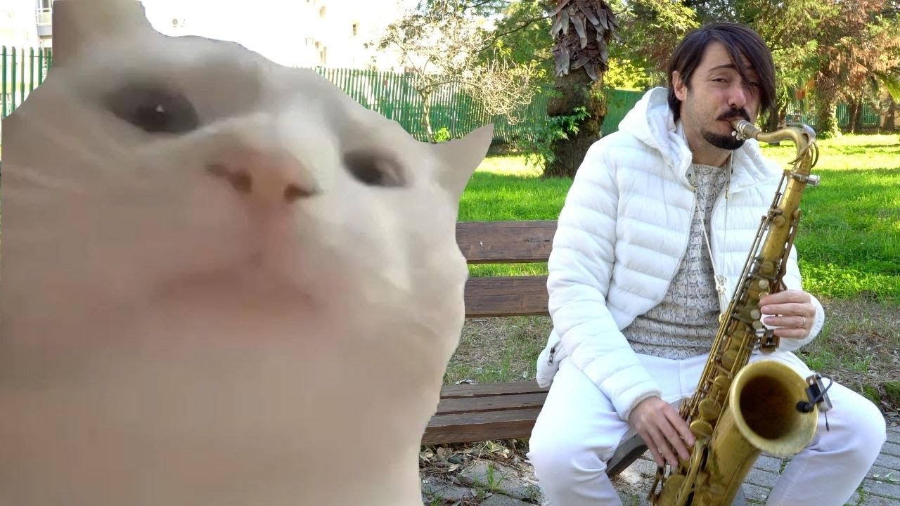 Cat Vibing to the performance by Daniel Vitale Sax Saxophone