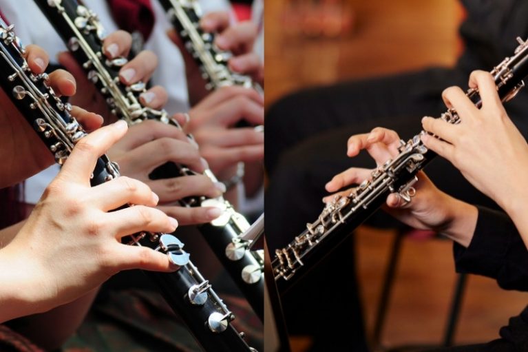 vs Oboe (What are the Differences?) Musician Wave
