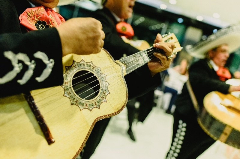 10 Types Of Mexican Music Musician Wave