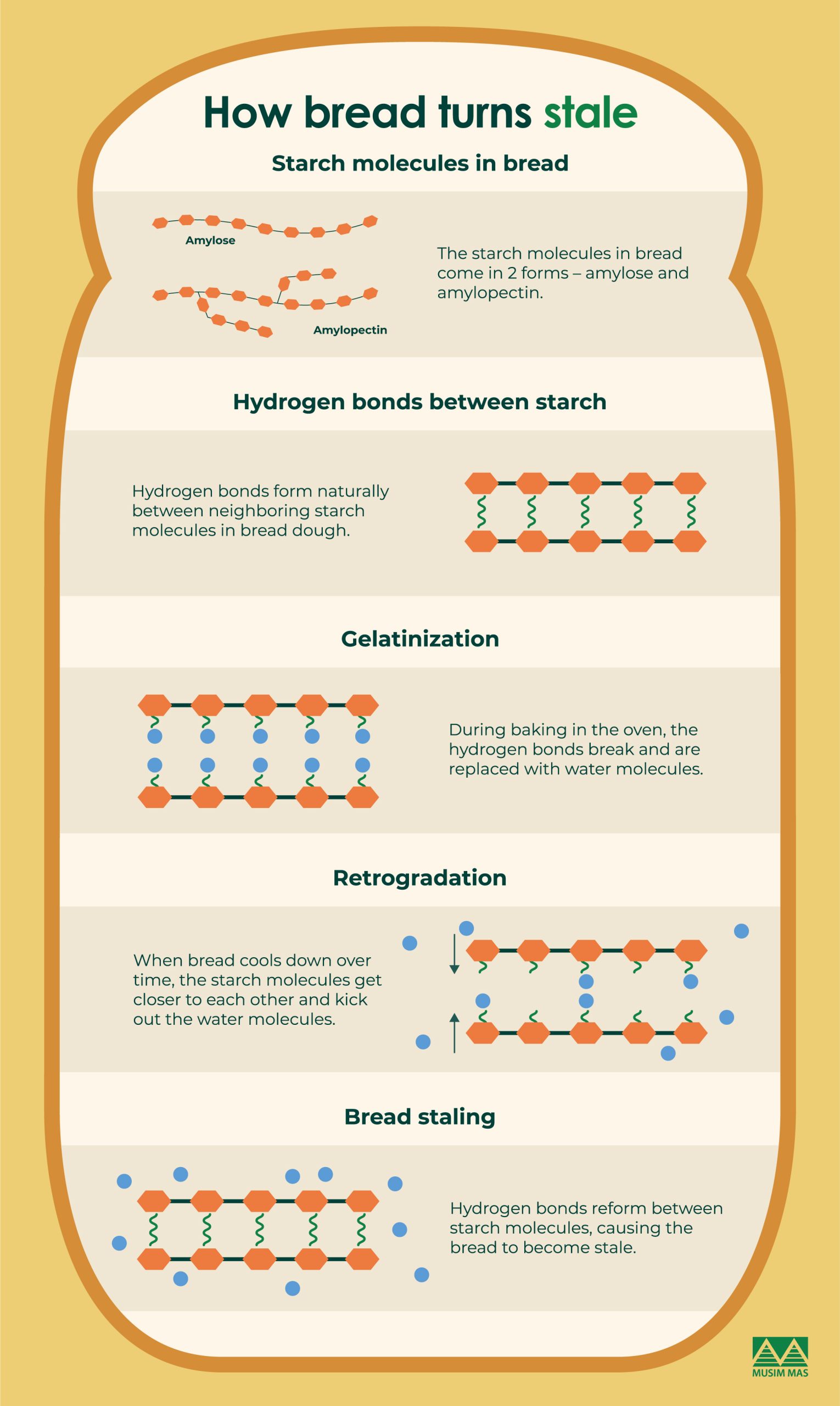 5 Ingredients That Extend the Shelf Life of Bread Musim Mas