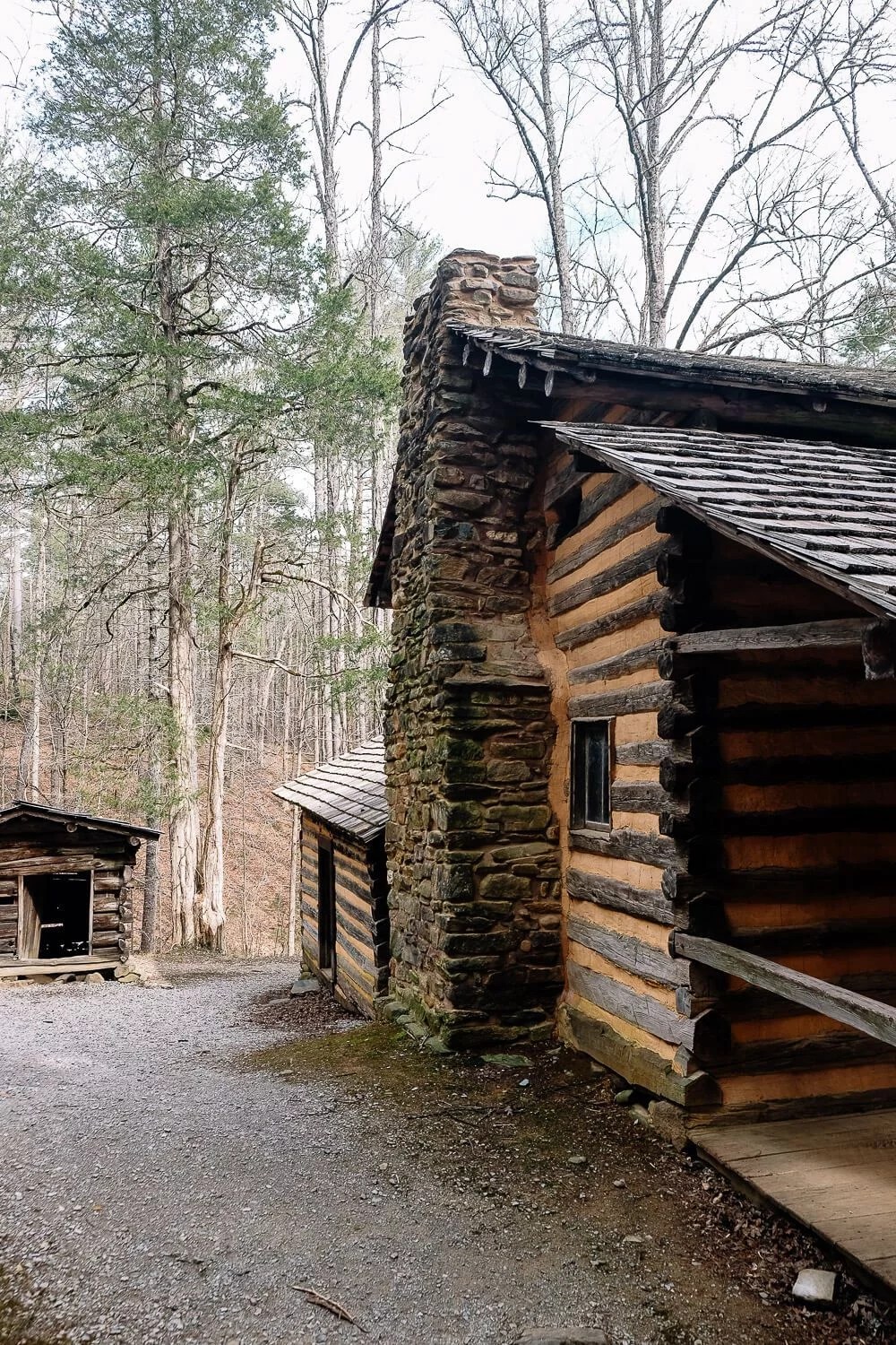 Driving the Cades Cove Loop Road What You Need To Know