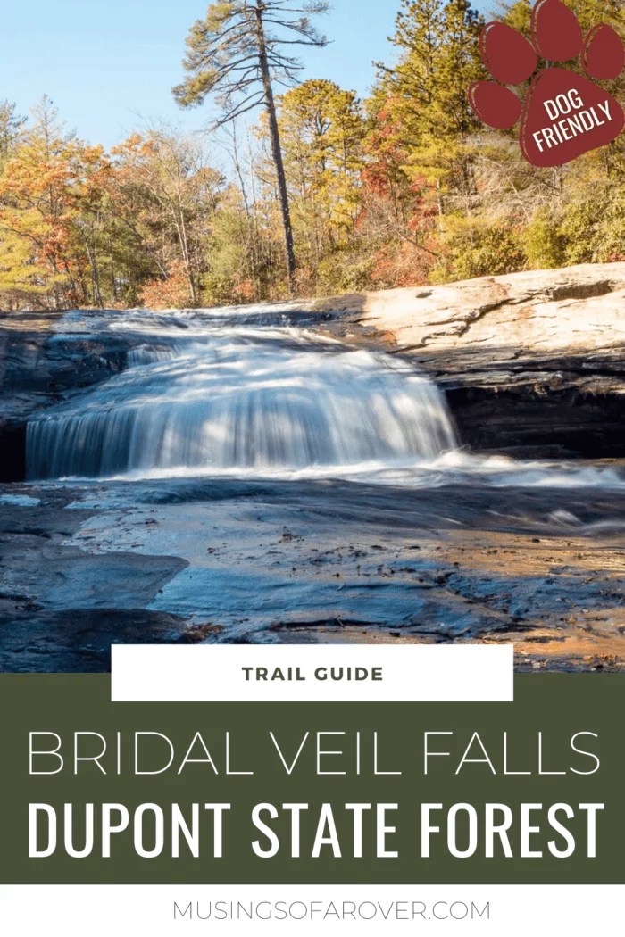 Hike to Bridal Veil Falls in Dupont State Forest [Trail Guide]