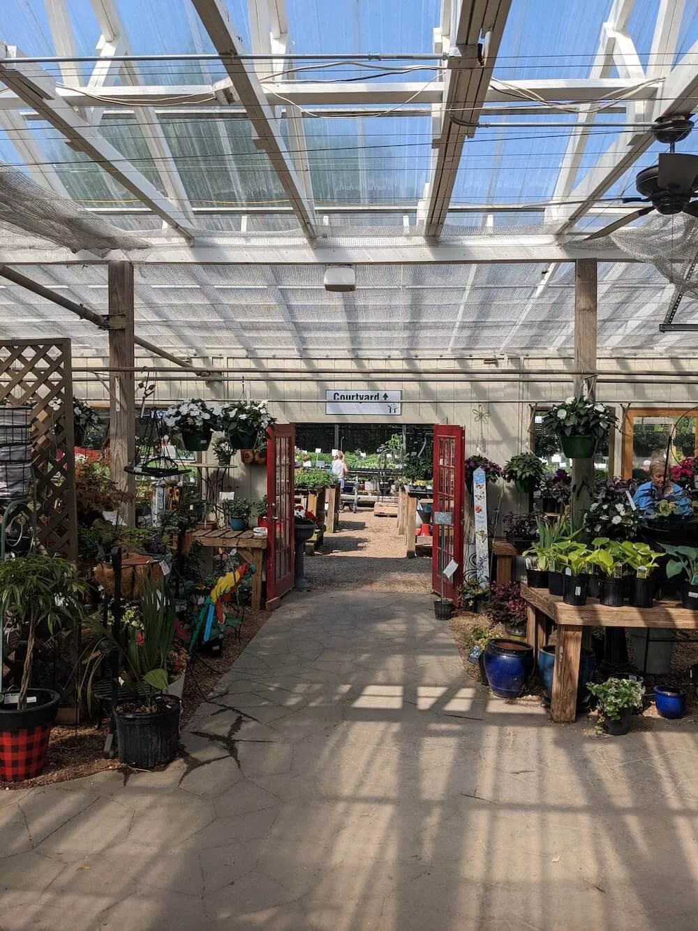 12+ Places to Buy House Plants in Greenville, SC