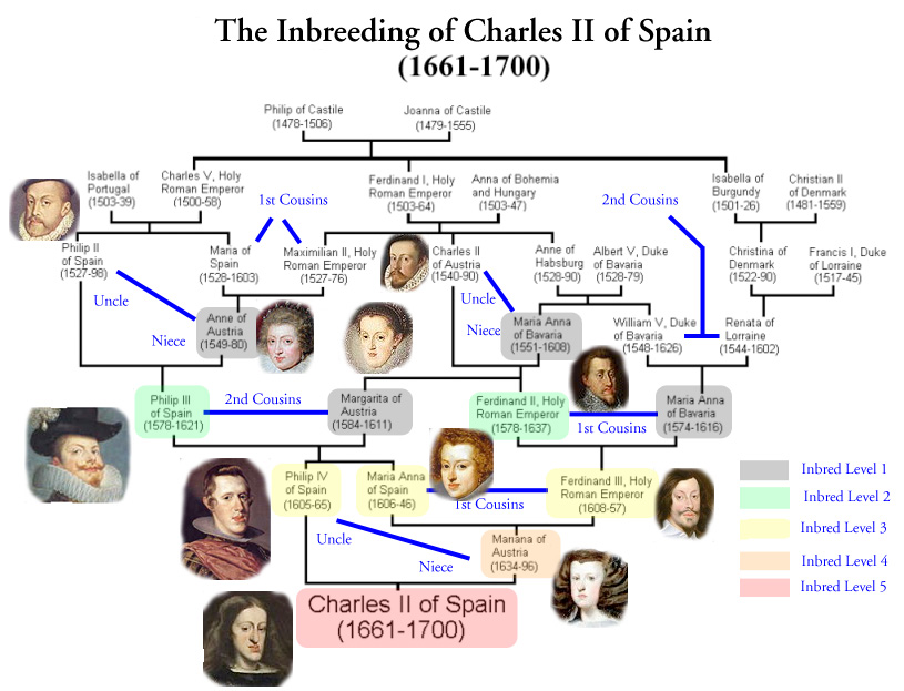 TIL The lineage of Charles II of Spain was a circle and his genome was actually more homozygous