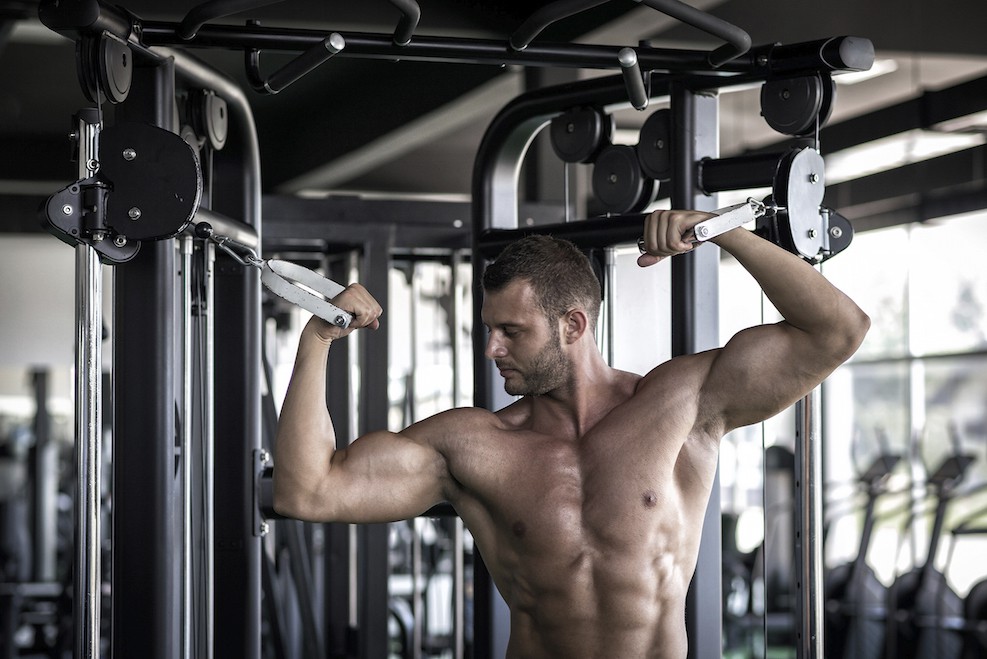 Scottcurls am Kabel Infos zur Trainingsübung