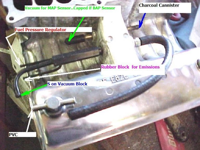 What is this? | Mustang Evolution Forum