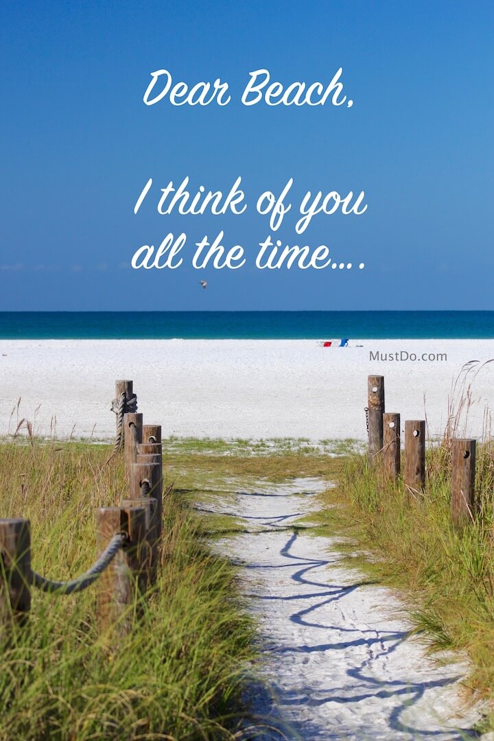 Surprising Facts About Sarasota Must Do Visitor Guides