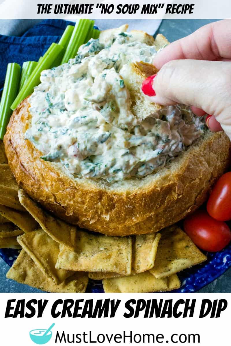 Easy Spinach Dip Recipe Must Love Home
