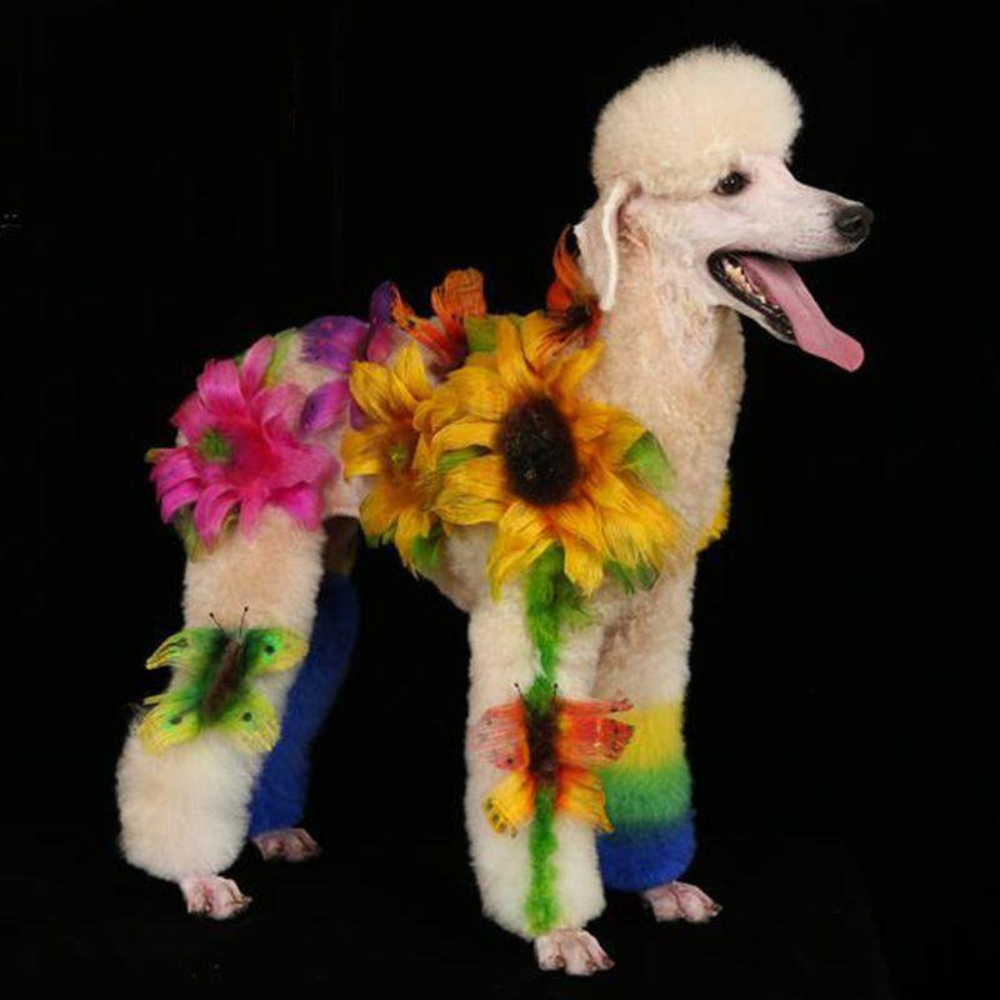 Opawz Permanent Pet Hair Dyes Creative Grooming Mutneys