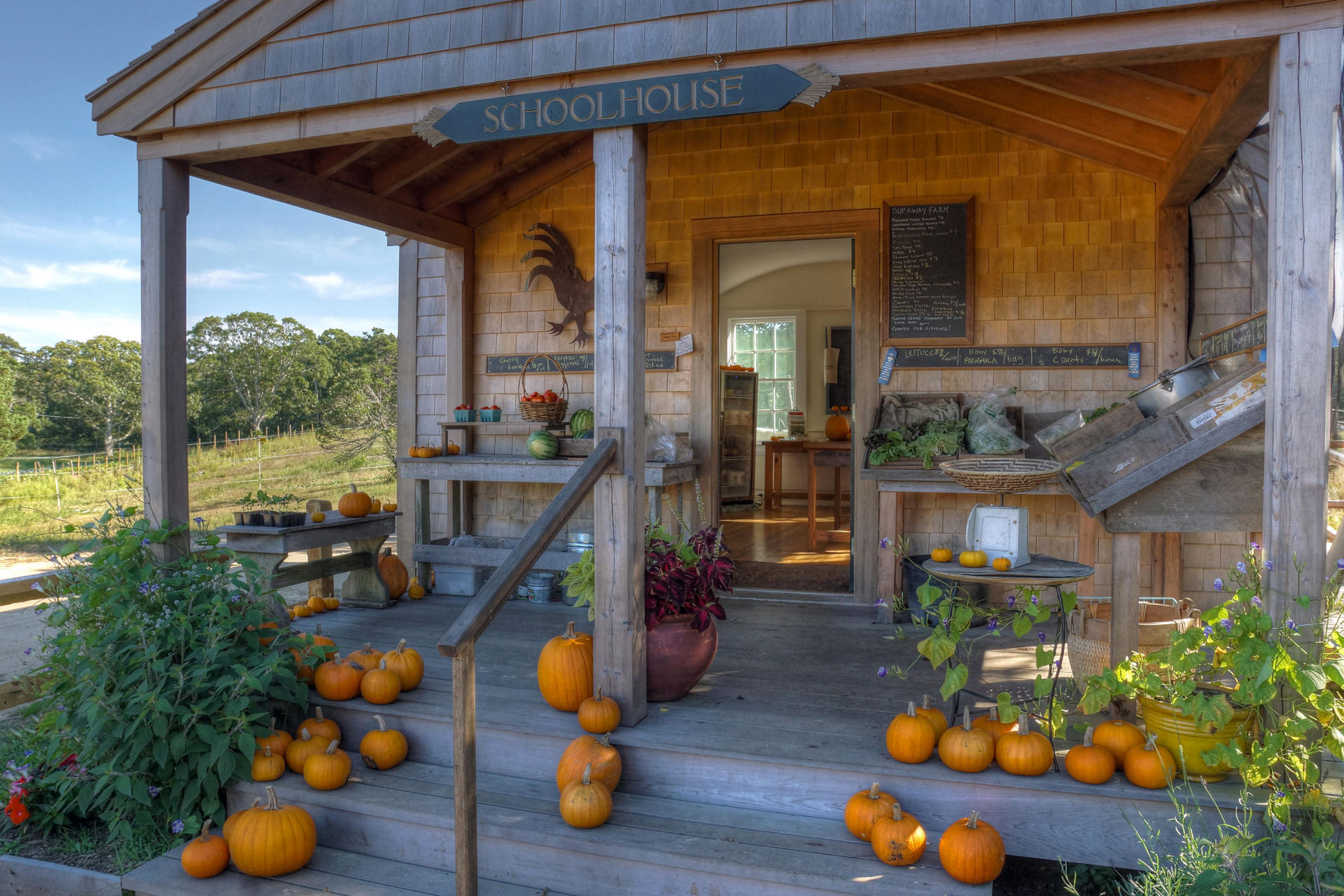 Vacation Planning Favorite Fall Activities on Martha's Vineyard