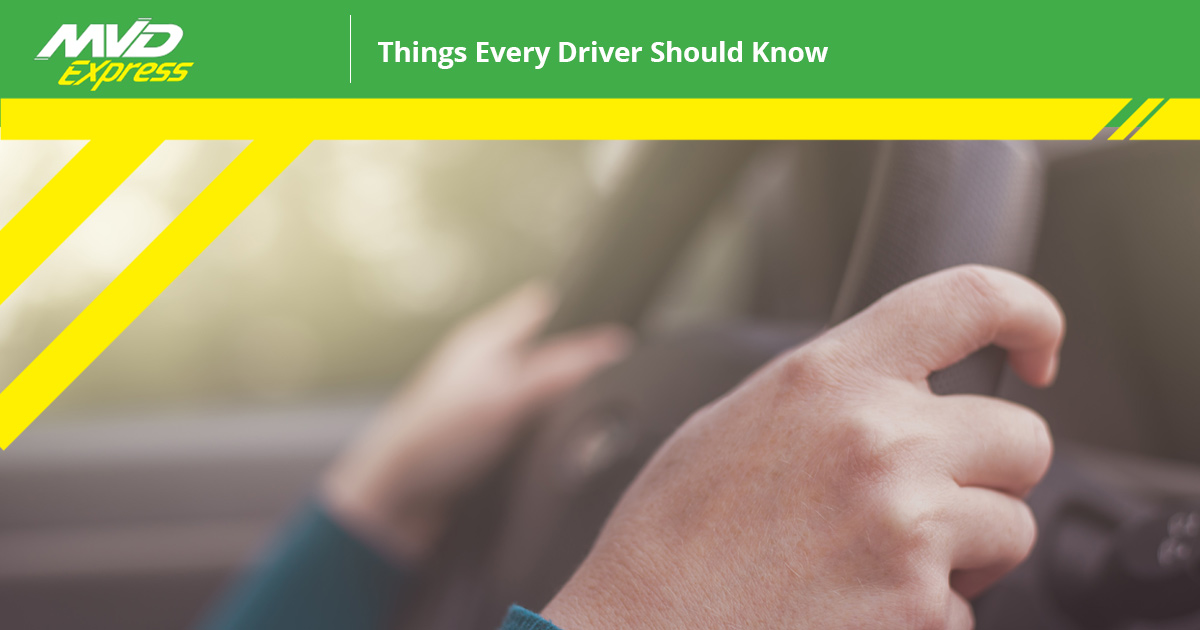 New Mexico DMV Things Every Driver Should Know