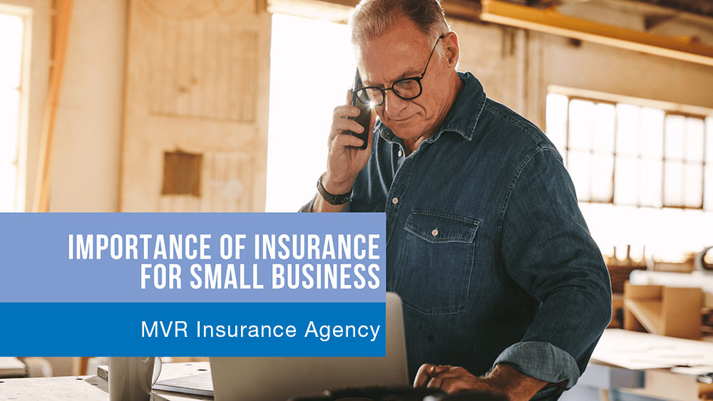 Business Inurance MVR Agency