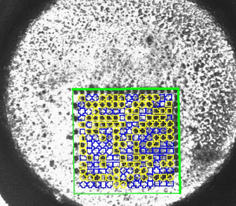 Bar Code & Data Code Reading MVTec Software