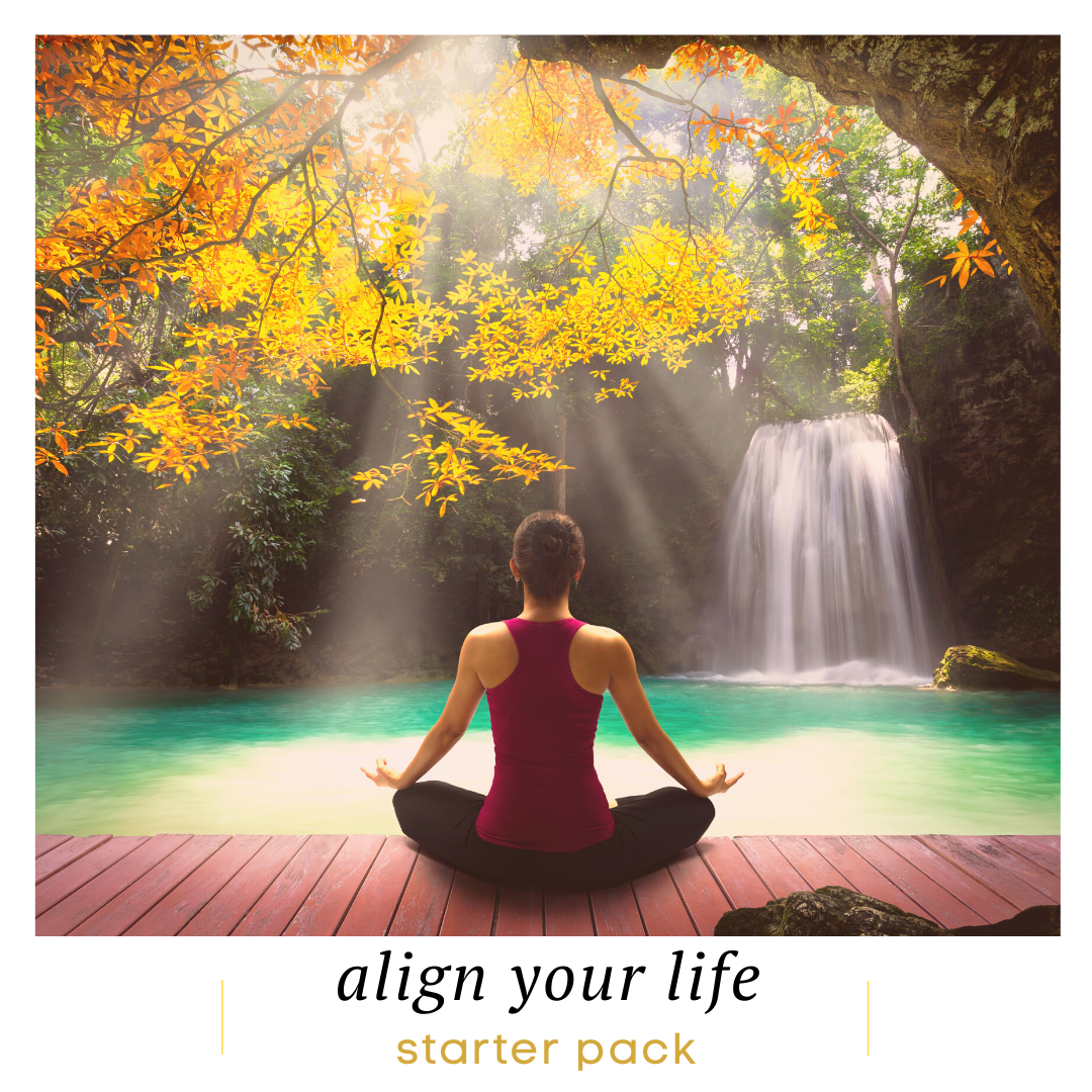 Align Your Life Starter Pack Centre for Childhood Trauma Healing