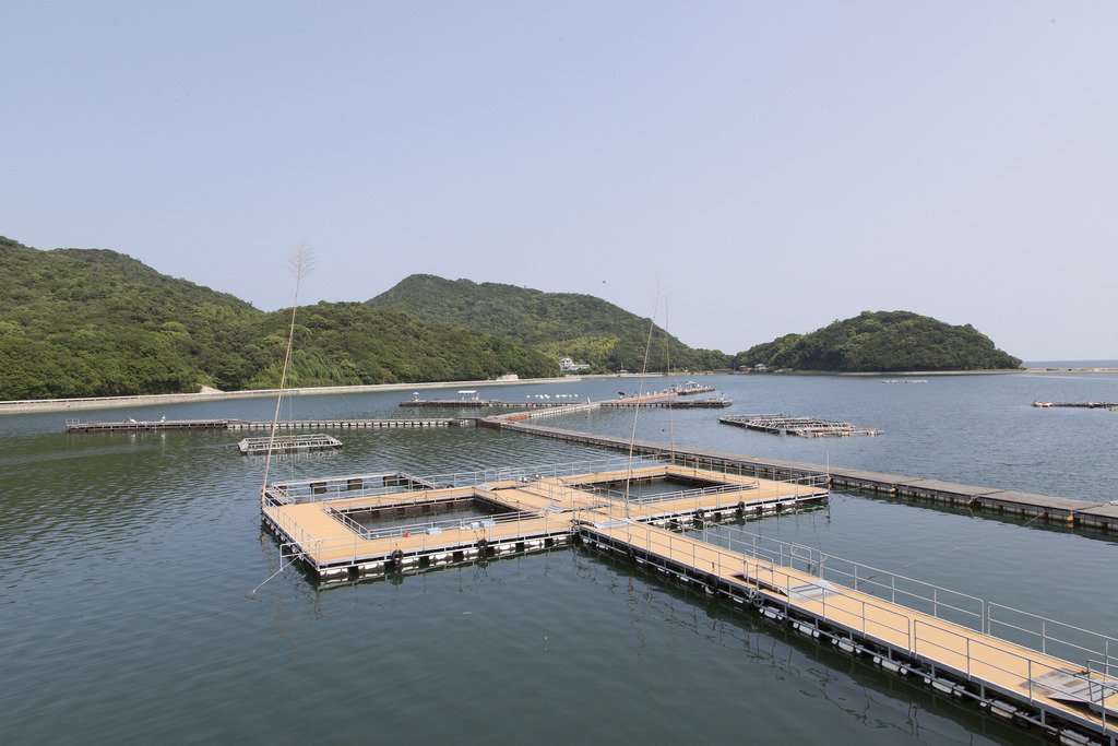 フィッシュフック（安戸池釣場）｜スポット・体験｜香川県観光協会公式サイト うどん県旅ネット