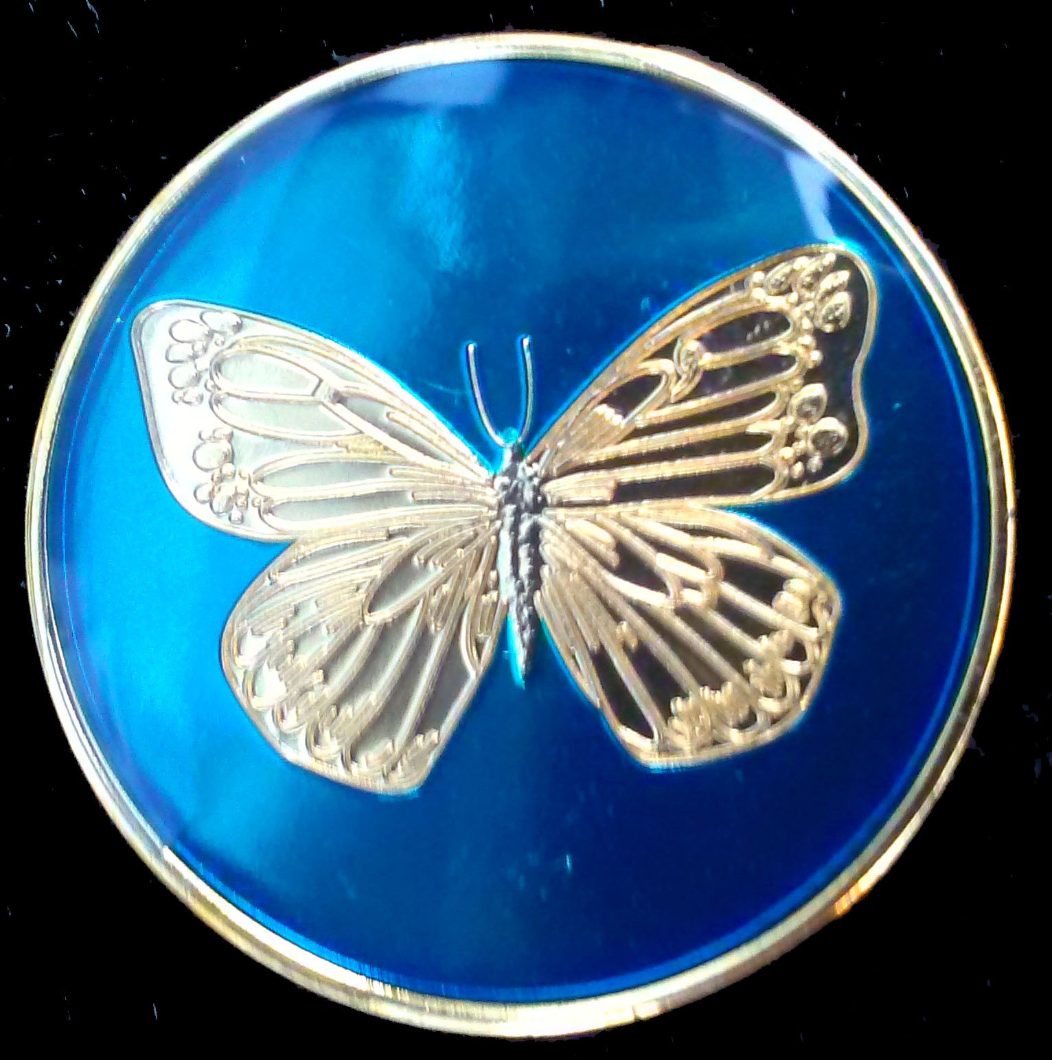 Butterfly Enamel Medallion Blue