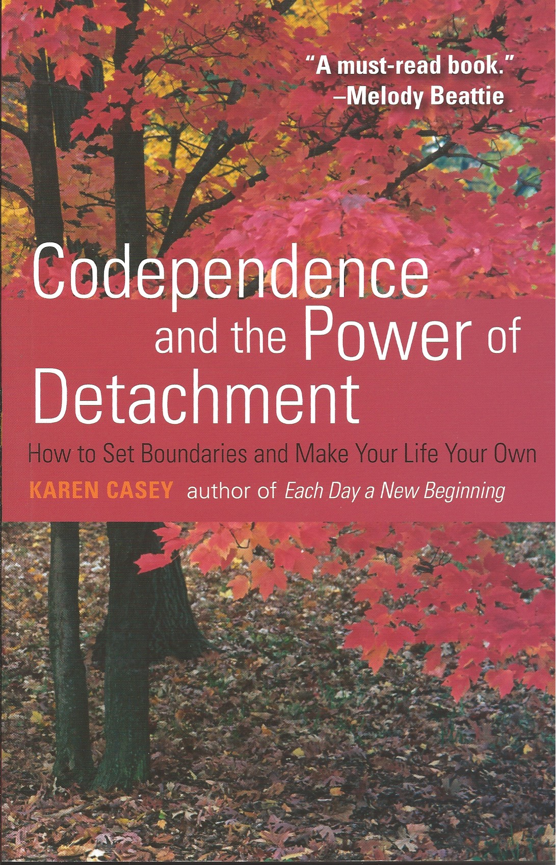 Codependence and the Power of Detachment Codependency Book