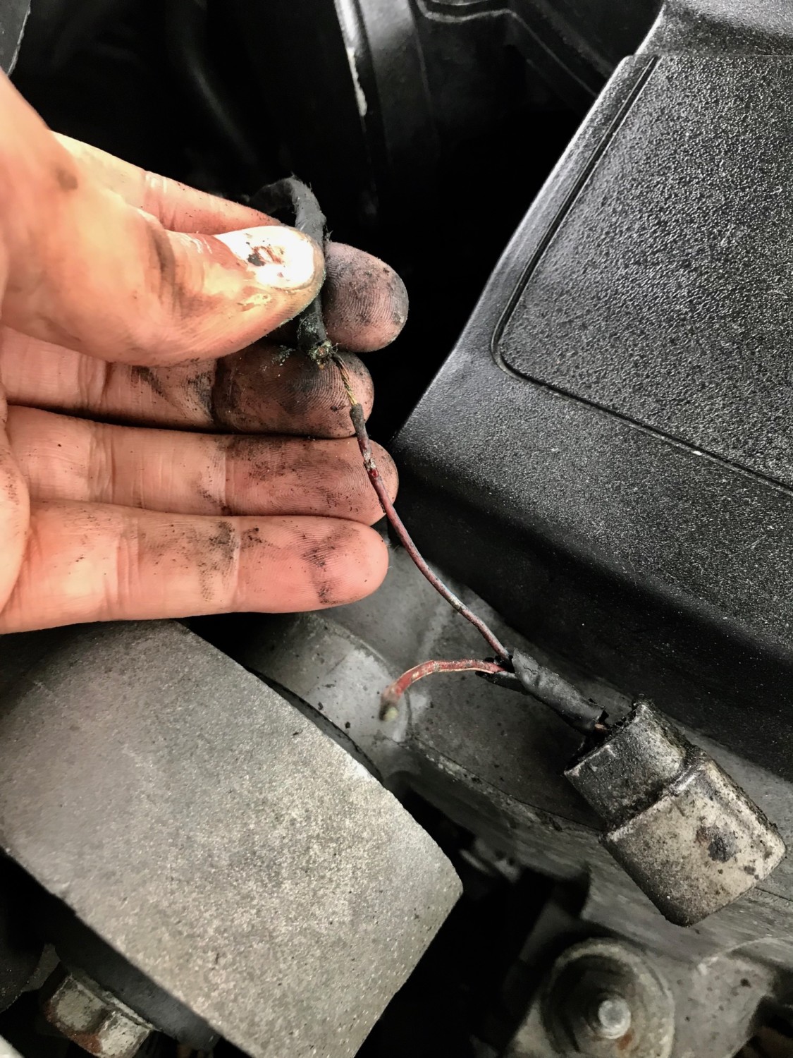 2002 Nissan Maxima Camshaft Position Sensor Bank 1 Location Perfect Nissan