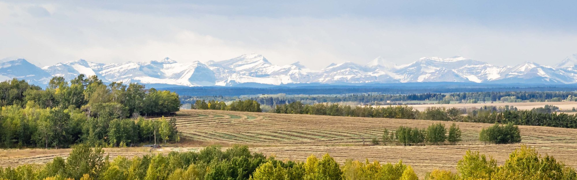 Cochrane, Water Valley, Olds & Sundre Real Estate Alberta Properties 1 Acre and Larger