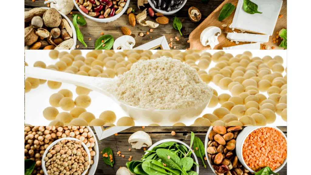 Benefits of Soy Protein Powder 10 Top Selling of 2022