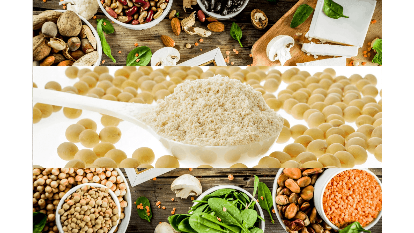 Benefits Of Soy Protein Powder 10 Top Selling Of 2023