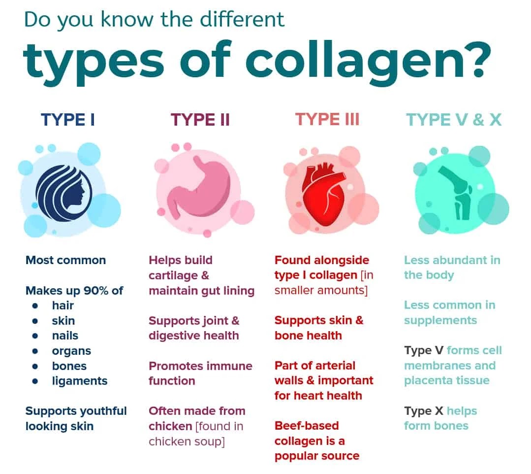 11 Collagen Benefits for Women Improves Skin, Hair and More