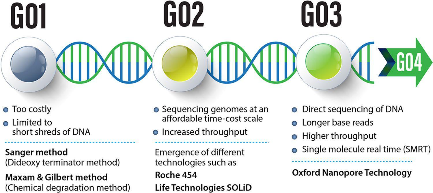 The Advancements and Applications of Genome Sequencing MyBioSource Learning Center