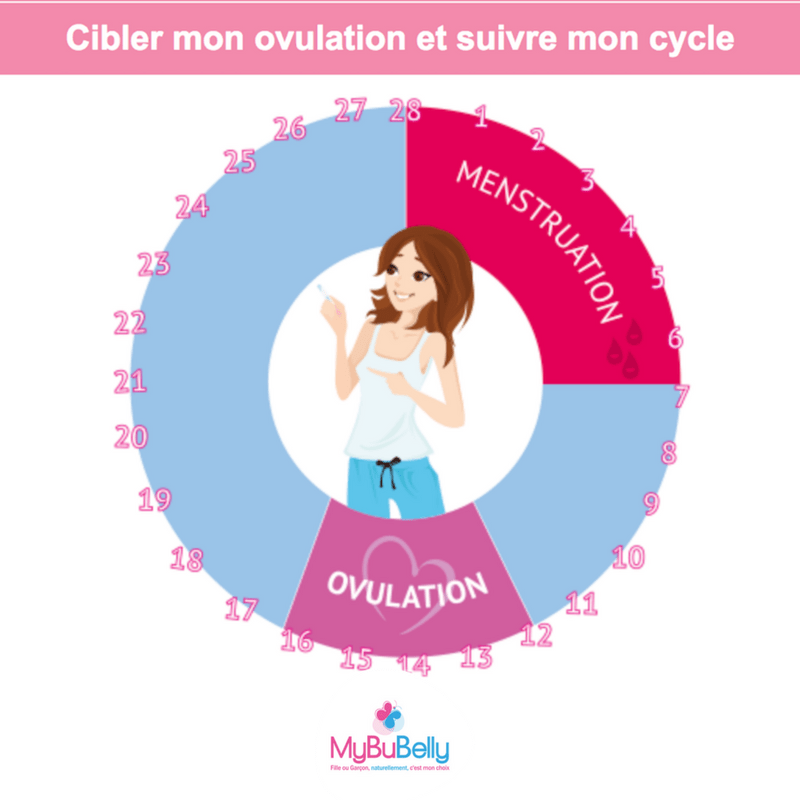 Grossesse Blog Comment Calculer Les 40 Semaines De Grossesse