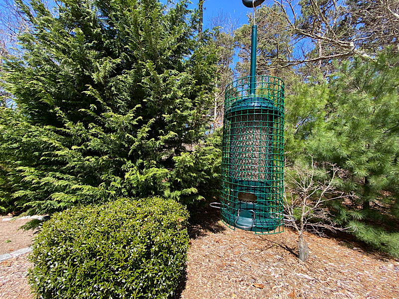 Finally, We Made A GrackleProof Bird Feeder Here On Cape Cod. Cape