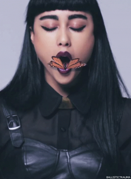 Butterfly « MyConfinedSpace