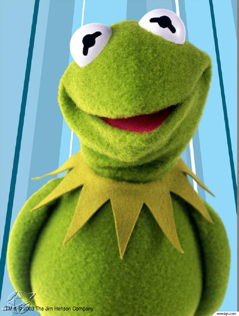 kermit.jpeg MyConfinedSpace