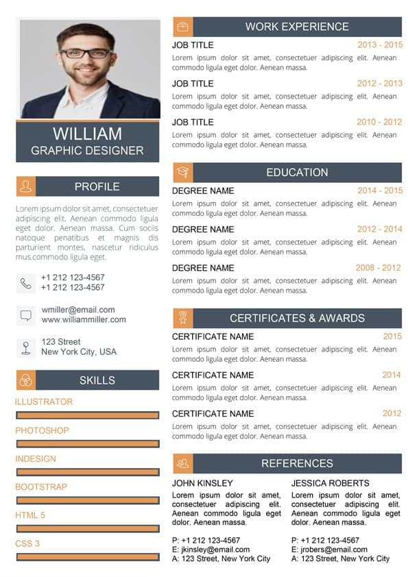 Professional Resume Template Download for Word