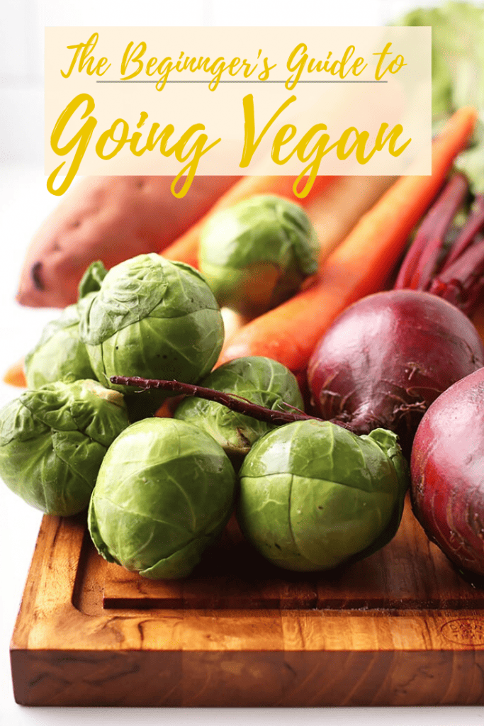 Beginners Guide to Going Vegan My Darling Vegan