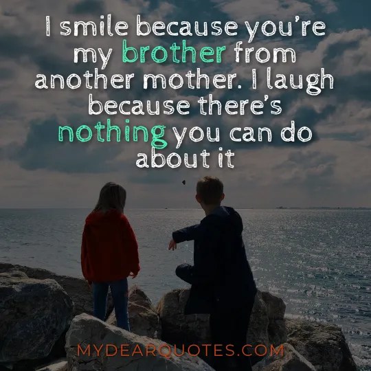 HEARTTouching Brother From Another Mother Quotes Quotela