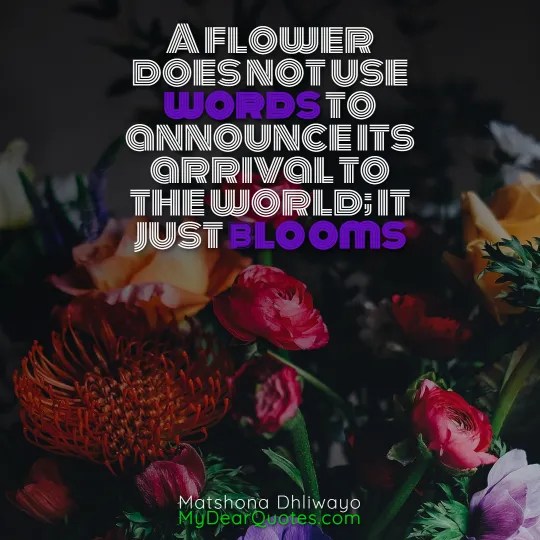 30+ Flowers BLOOMING Quotes And IMAGES Quotela