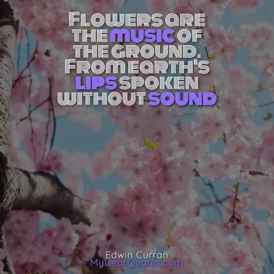 30+ Flowers BLOOMING Quotes And IMAGES Quotela