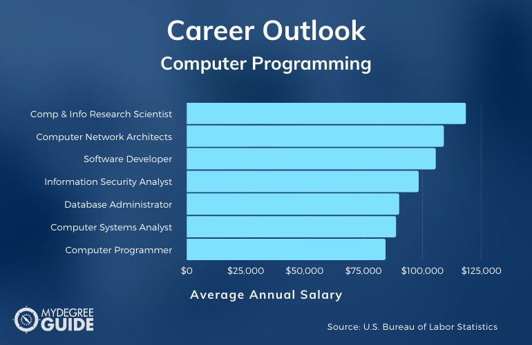 Computer Programming Jobs Nyc / Coding Salary How Much Do Computer