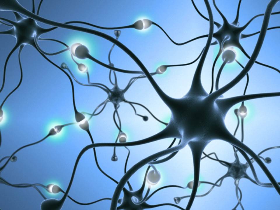 Brain Connection ⋆ My Digital