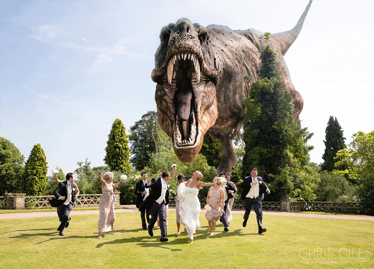 Get Some Ideas About a Jurassic Park Wedding My Dinosaurs