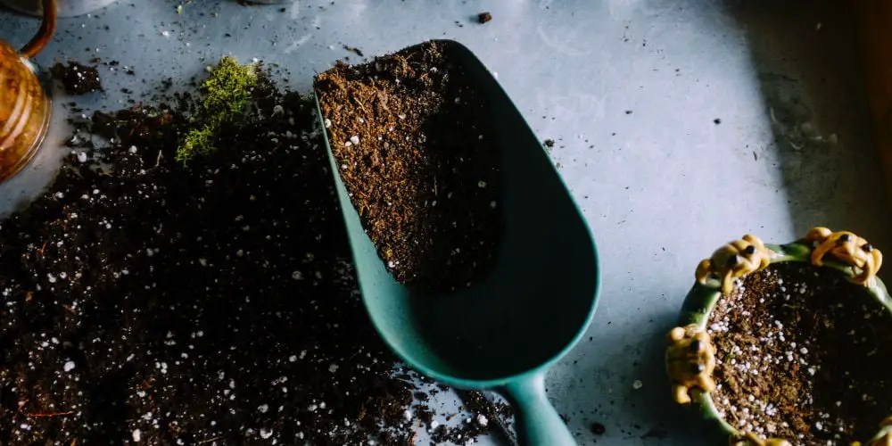 Container garden basics How to start a microgarden My Dream Haus