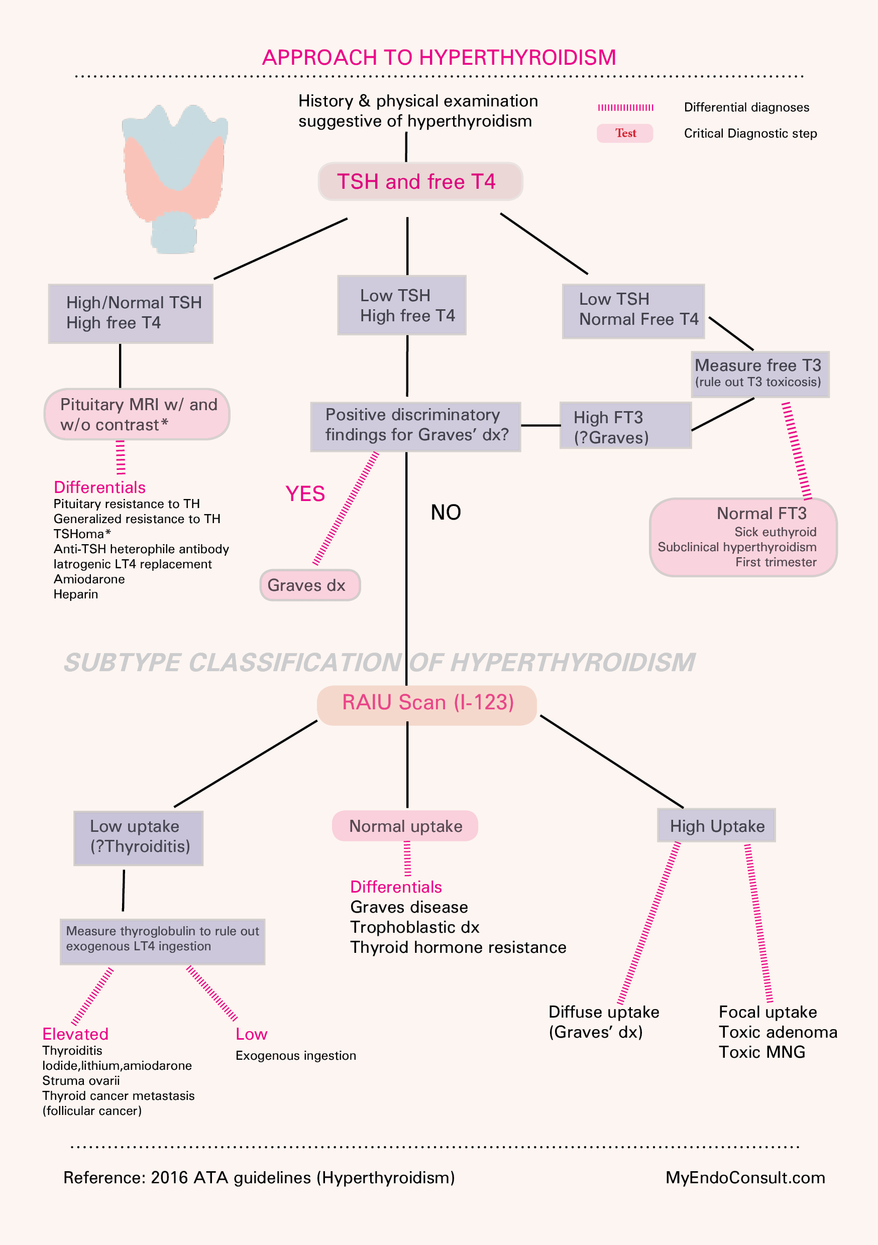 Hyperthyroidism ProProfs Quiz