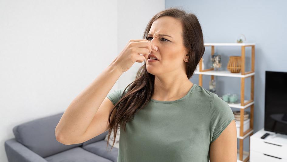 How to Fix Six Common Air Conditioner Smells