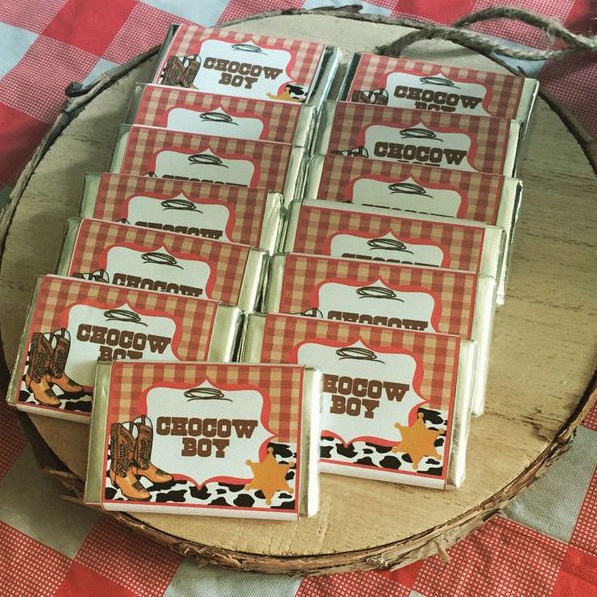 L'anniversaire de cowboy de Thimothée dans son ranch My