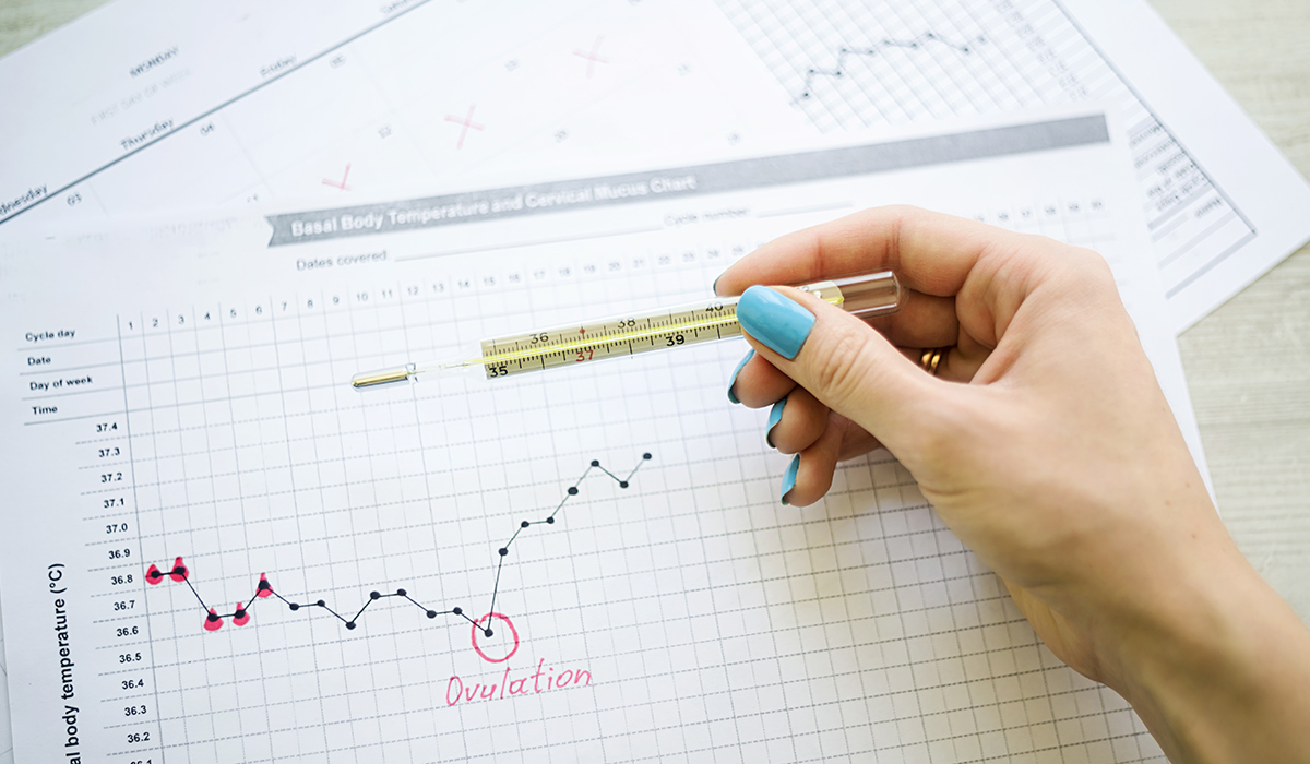 Cycle irrégulier comment déterminer ma période d’ovulation