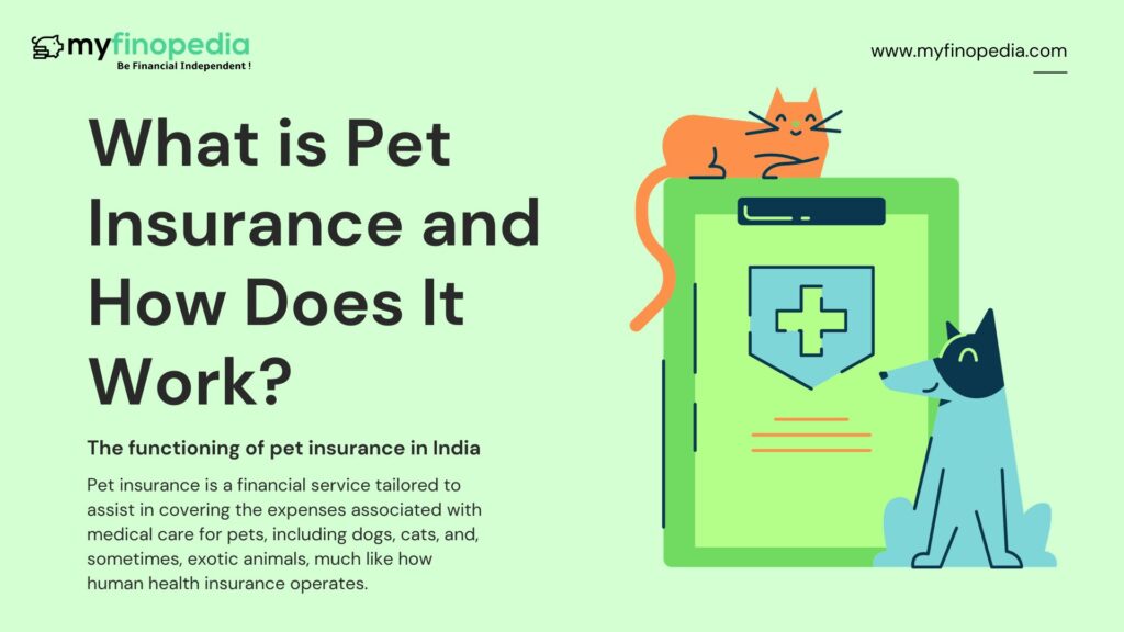 What is Pet Insurance and How Does It Work?