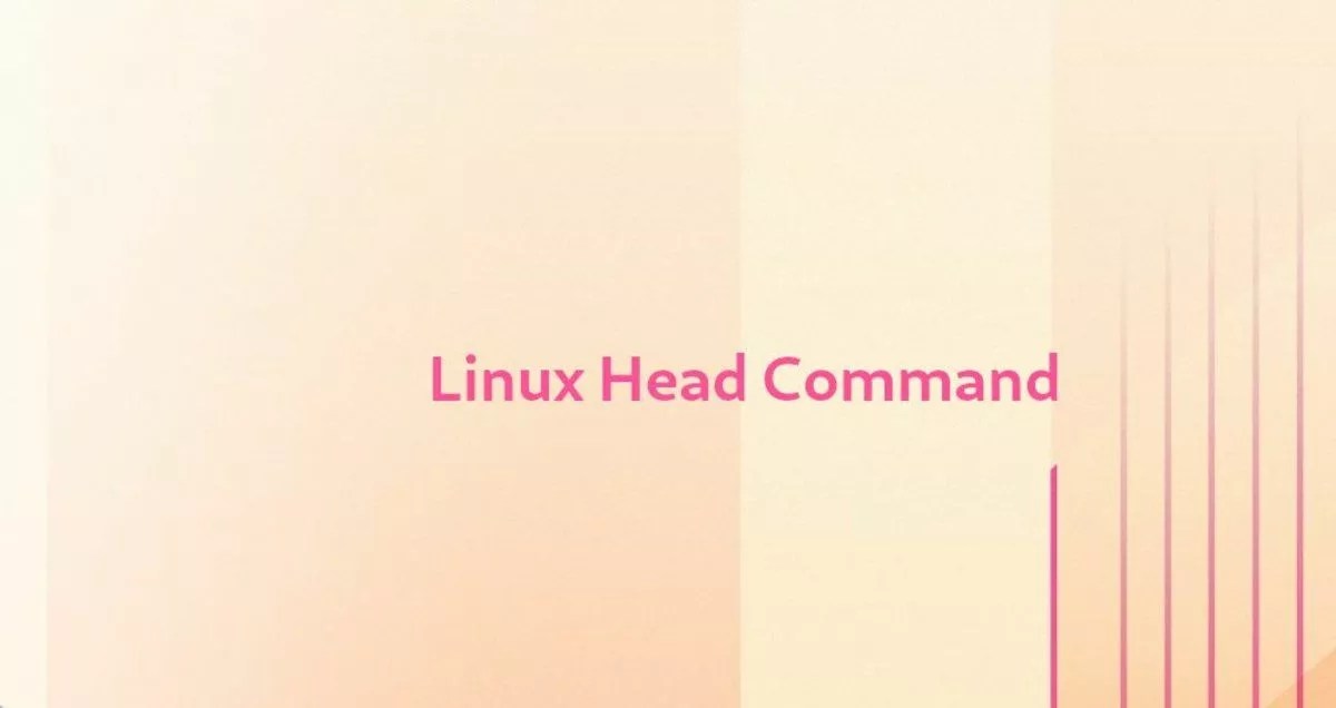 Linux head命令 myfreax