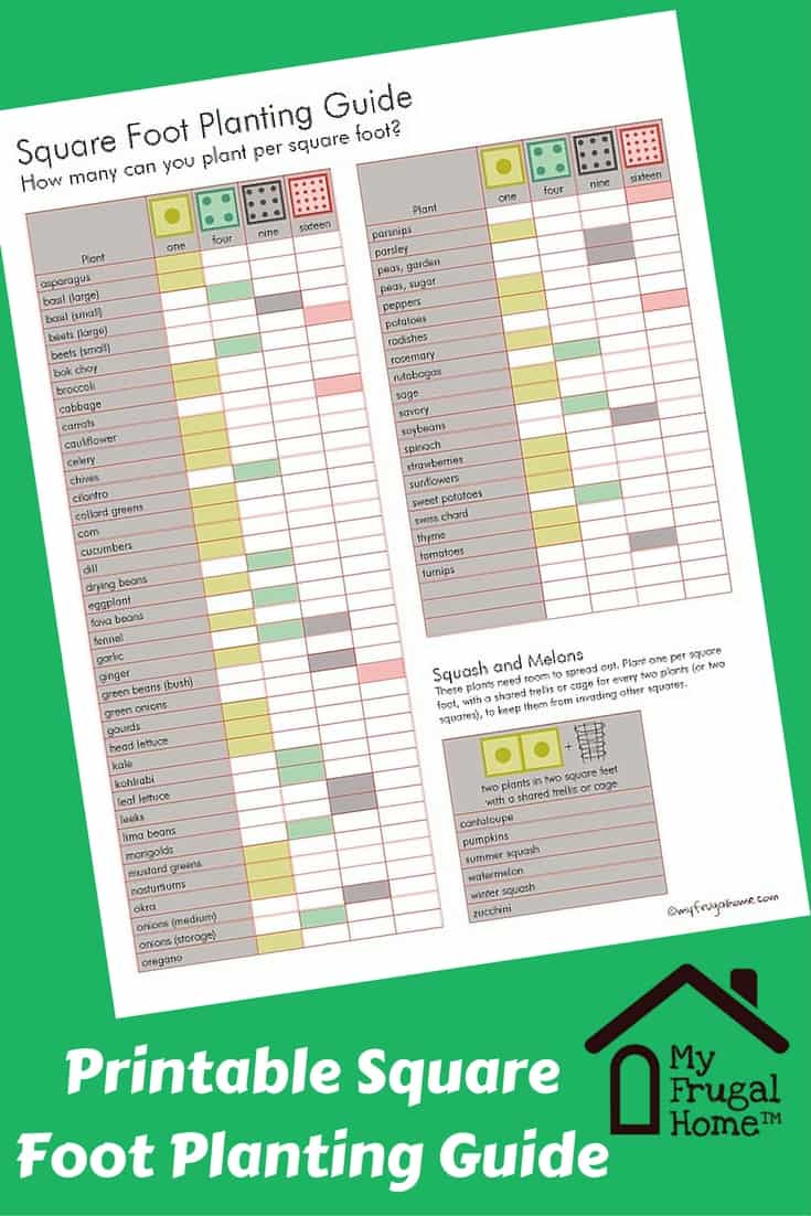 Square Foot Planting Guide
