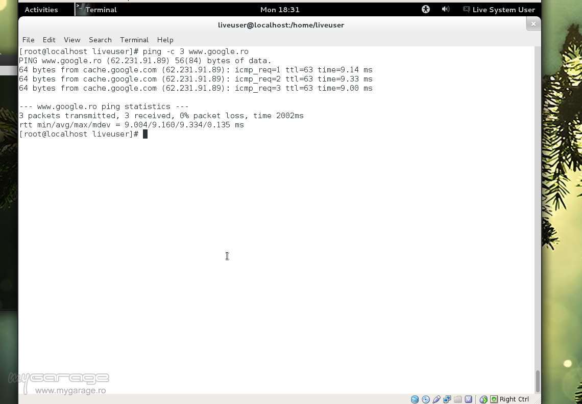 Linux Virtual Machine Activation of network connection failed